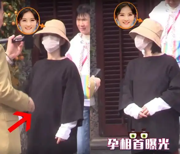 钦仰!谢娜回应已生二胎"备孕准备"-第1张图片-智库博客