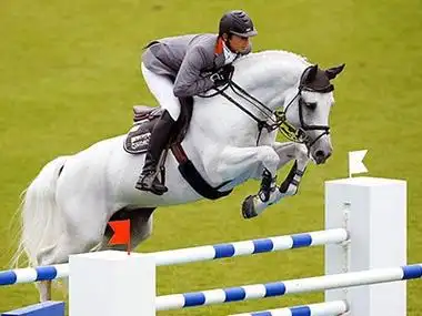 塞拉.法兰西马,勇敢的马 - 这里是草原