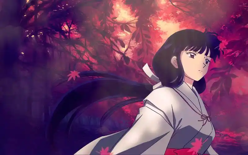 桔梗- 堆糖,美图壁纸兴趣社区