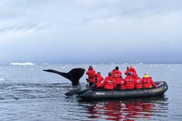 关於南极探险之旅你或许不知道的小细节