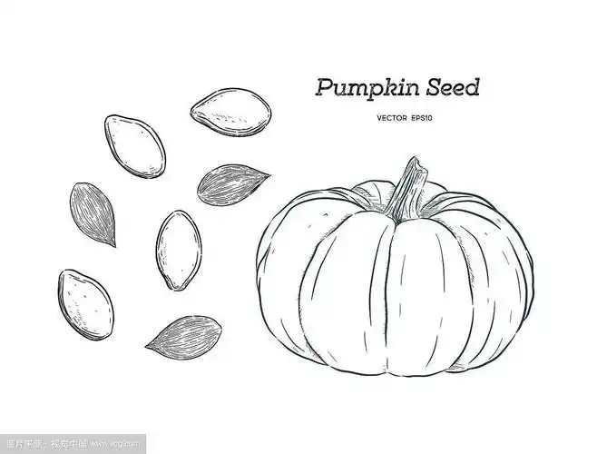 南瓜籽幼儿园简笔画(简笔画图片大全) -【爱个性】