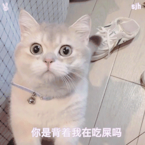 沙雕表情包网上很火的动态表情包动态沙雕表情包搞笑又沙雕的表情