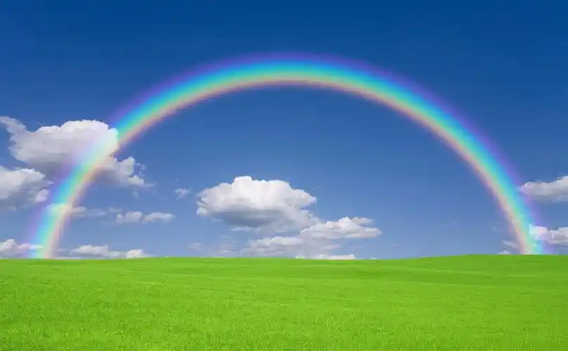 翠绿的草地和天空