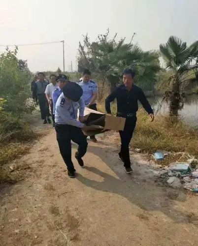 震惊江苏农田里惊现穿着黑色的丝袜女尸可把大妈吓坏了