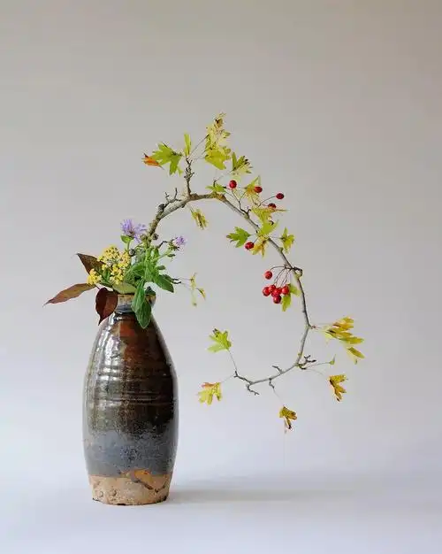 日本花道理性之美从文化层面细解日本花道及传统文化之精髓