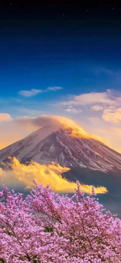 全面屏高清手机壁纸