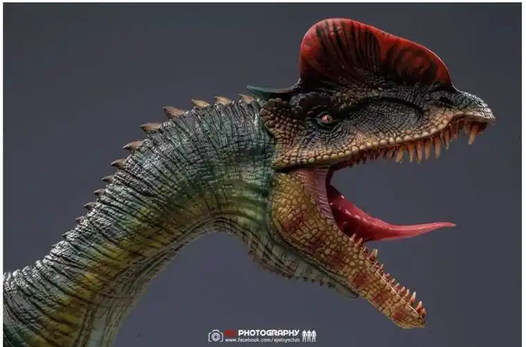 食肉恐龙有哪些(凶猛的大型食肉恐龙有哪些)插图7