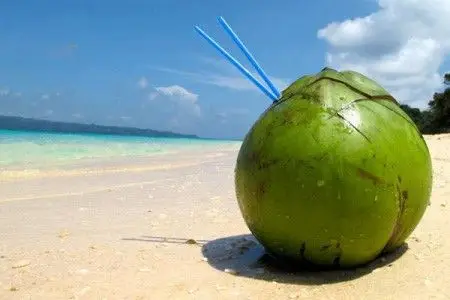 越南的水椰子为什么受中国人喜欢?