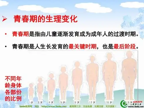 青春期发育ppt下载