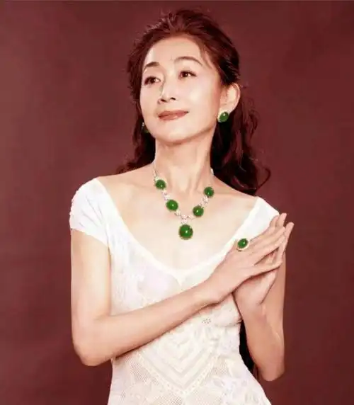 回顾巫刚当过木工电工和前妻结婚15年无儿无女和陈瑾相伴20年