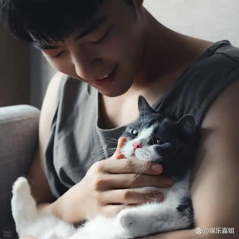 肖战晒与猫咪的合照,肖战身穿灰色背心,很温柔地抱着坚果