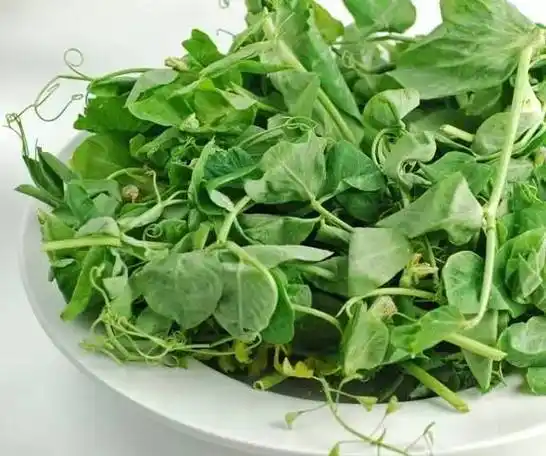 豌豆青豆荷兰豆原来都是一种豆