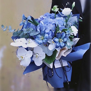 进口高档蝴蝶兰绣球郁金香花束男士领导长辈上海深圳广州南京鲜花