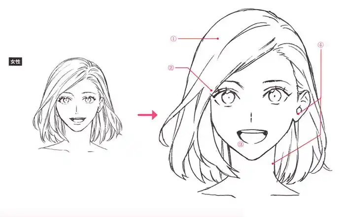 动漫人物脸部轮廓怎么画教你如何画一张英俊的脸庞