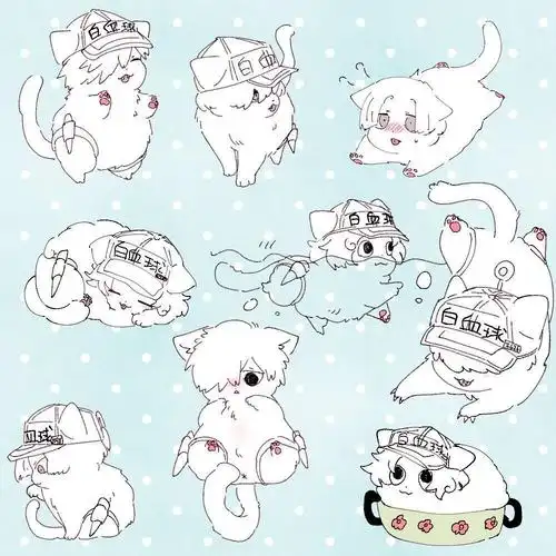 工作细胞白细胞