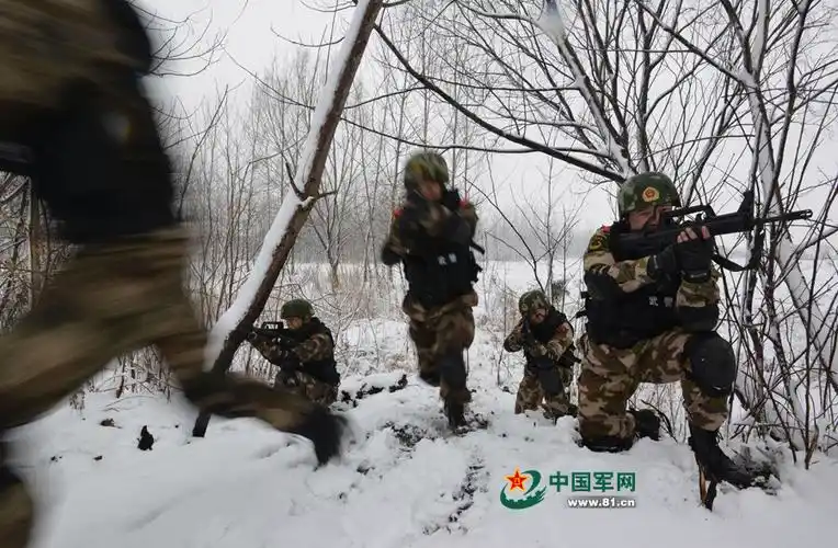 武警安徽省总队阜阳市支队官兵在雪地进行战术训练