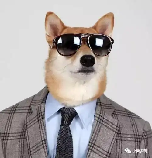 看看照片,戴上墨镜的柴柴气质瞬间不一样,果真印证了"墨镜一戴,谁都不