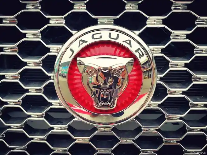 【召唤招财猫】捷豹英仕挑战赛---成都站