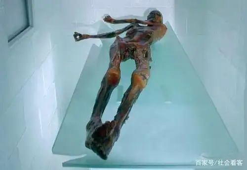 著名雪山挖出千年干尸,干尸全身有47处纹身,随葬物品疑似穿越了