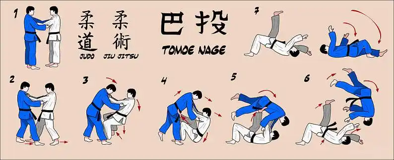 柔道,圆,投掷,武术,技巧_高清图片_全景视觉