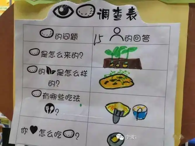 所以我们在种植时,要将芽孔朝上,土豆生长在潮湿的土中,所以表面会有