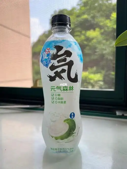 05元气森林海盐椰子味苏打气泡水