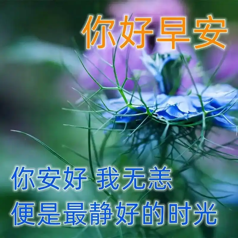 最新早上好祝福问候短信 特漂亮的早安祝福唯美图片带字温馨