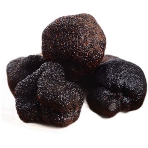 禾澹新鲜食用菌东北大连黑松露菌块菌野生顺丰猪拱菌块菌菇 统货 250g