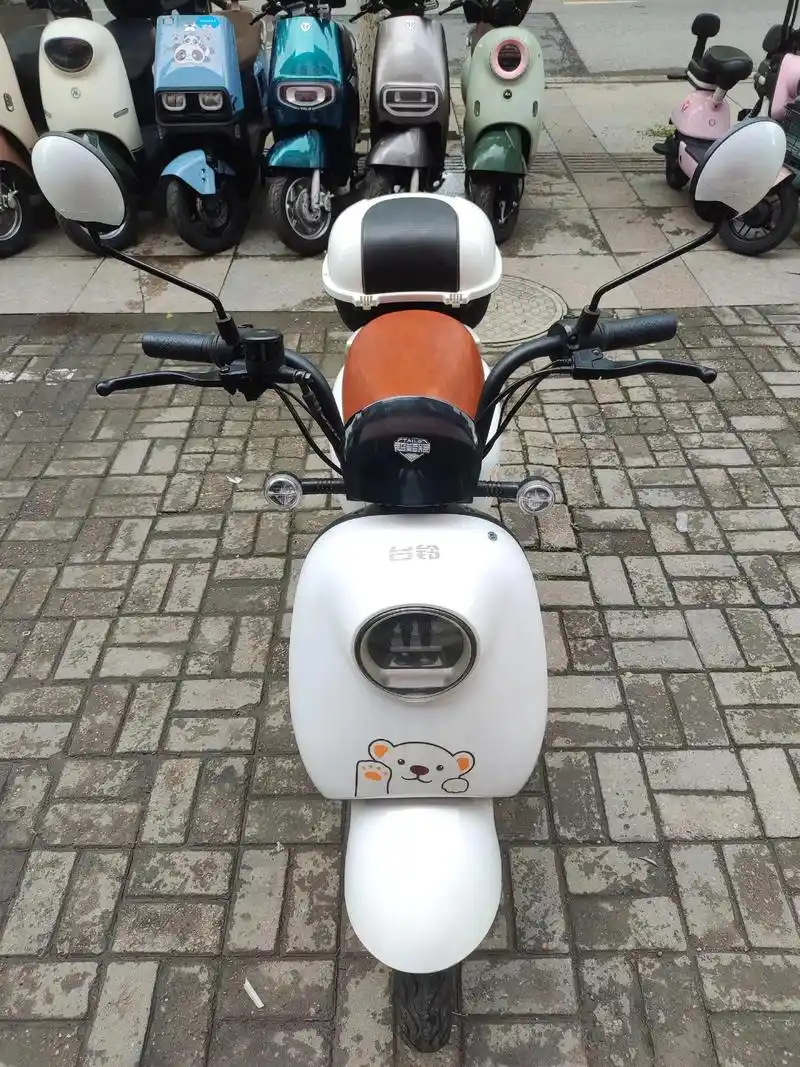精品二手台铃电动车,9成新,如图实拍,60伏5块石墨烯大电池