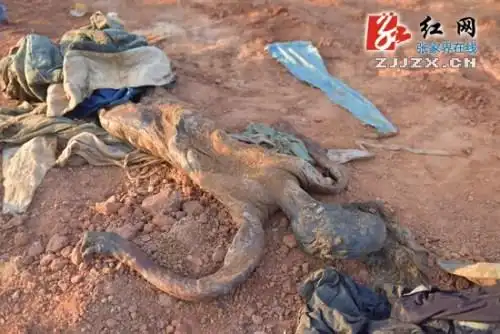 张家界工地挖出古装女干尸:面部呈黑色 裹有小脚