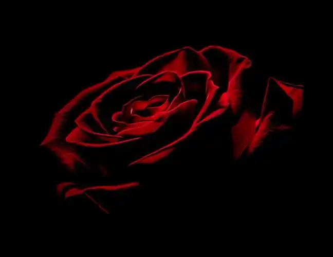 求求求大神帮我找到这张设计图的背景图,类似也可以,就是玫瑰花那种