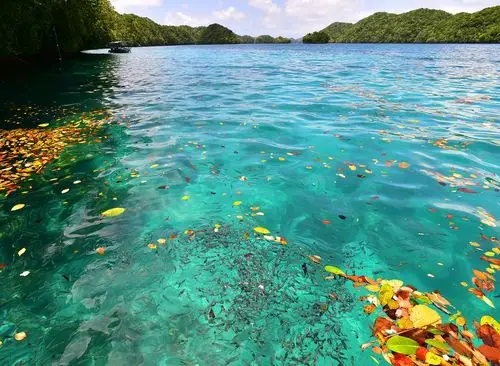 蓝蓝的天 蓝蓝的海