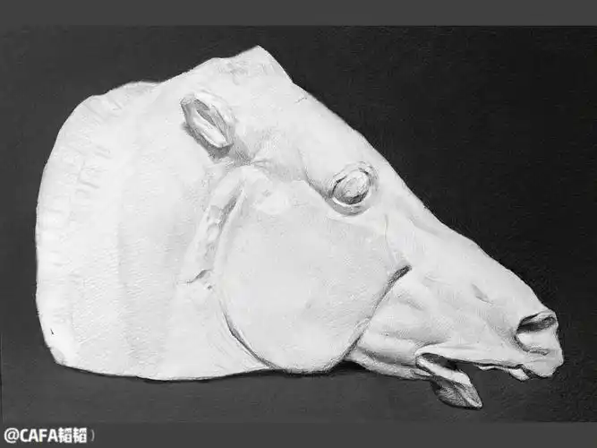 14b涂背景素描石膏马头绘画过程