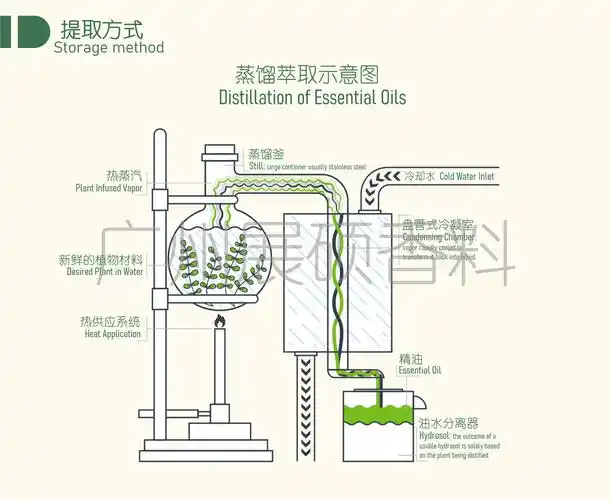 【展硕精油原料批发】 进口100%天然玫瑰草精油