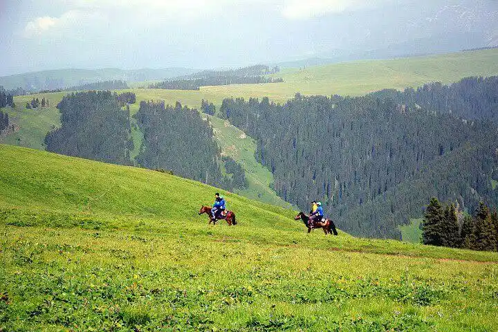 大美新疆之行八～喀拉峻之猎鹰台6/15