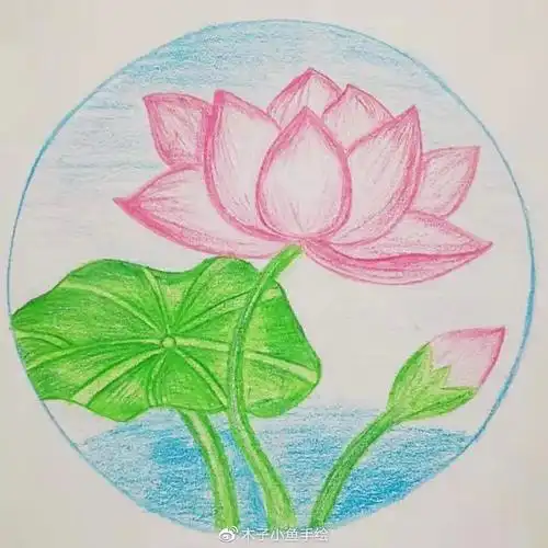 一起画画第十期61画荷花莲花打卡作品集61图片版