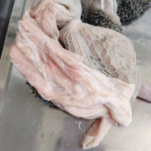 新鲜羊肚 生羊肚 山羊羊肚 毛肚 现杀新鲜羊下货整个羊肚羊杂碎 3斤