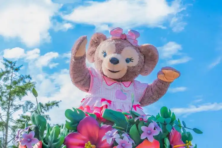 夏日庆典雪莉玫