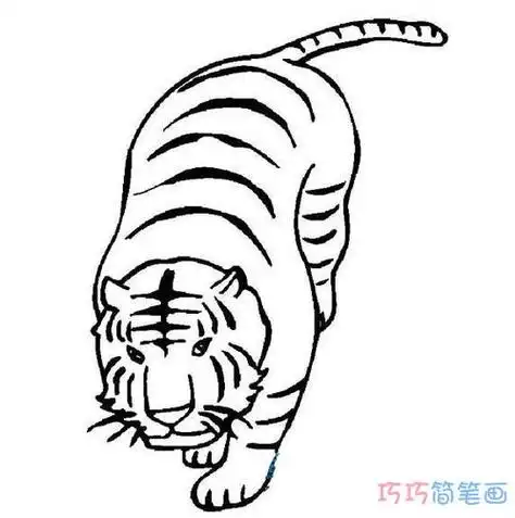 简单的老虎怎么画老虎怎么画好看又简单