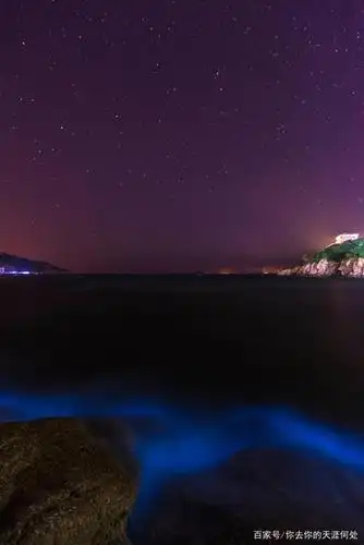 期许已久的花鸟岛旅行