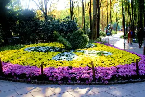 共青森林公园是在上海东北角一大公园每年都在举办各种花展和活动.