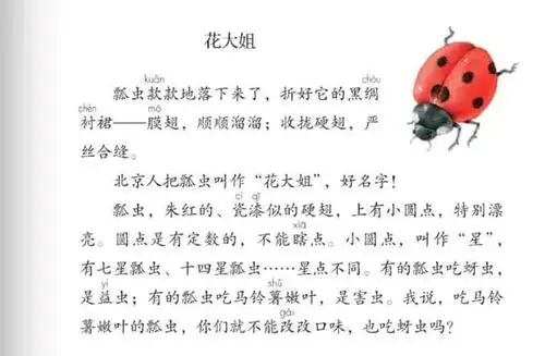 走进《昆虫备忘录》,了解你不知道的小生灵