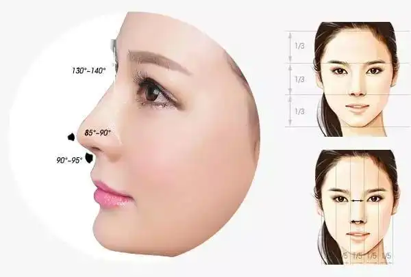 完美鼻型究竟长啥样?