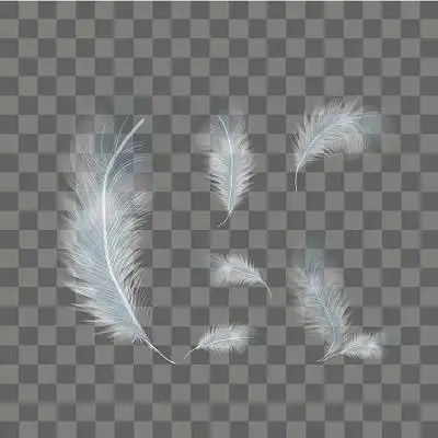 白色透明羽毛素材