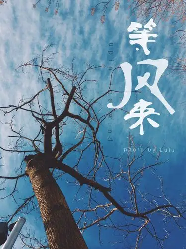 我只是,静静地,等风来.