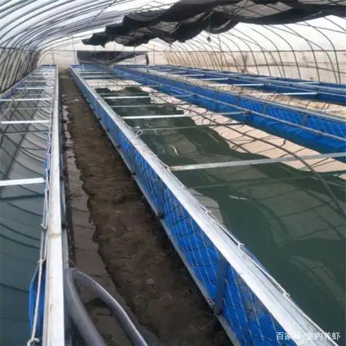 解密:室内养虾设备到底有哪些?