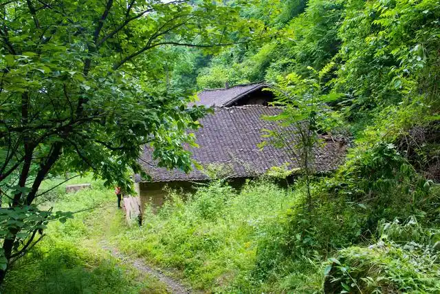环境真好,到处都是空房子,打算隐居山林的人,这绝对是个好去处