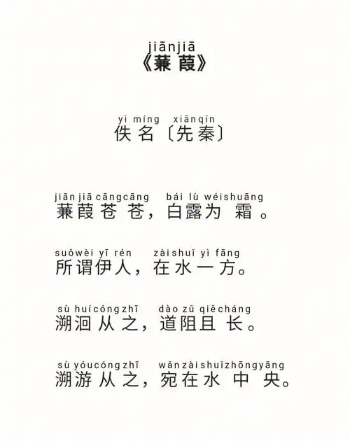 白露诗经蒹葭苍苍白露为霜