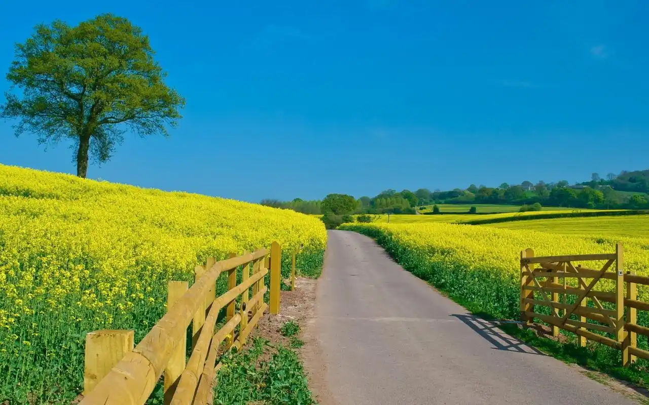 绿色田园优美自然风景高清图片桌面壁纸高清大图预览1920x1200_风景壁