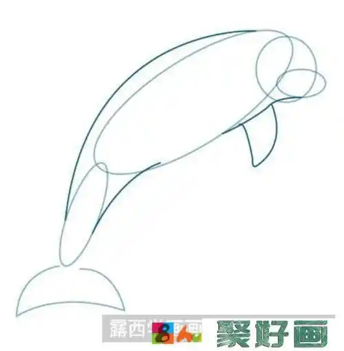 海豚速写教程
